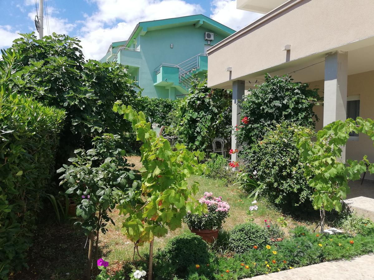 Apartmani Beljkas تيفات المظهر الخارجي الصورة